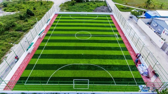 50 mm de altura de pilha Erva artificial com fácil instalação Toque suave e alta tenacidade para campos de futebol