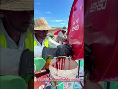 WA Certificado Alta flexibilidade pista de corrida Tartan personalizada para projetos