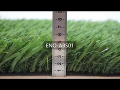 ENO-ABS-01 Grama de beisebol profissional