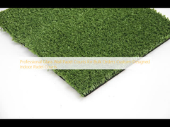 Pistas de padel de parede de vidro profissionais para encomendas em massa Pistas de padel interiores personalizadas